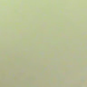 Meet your Posher, Beka